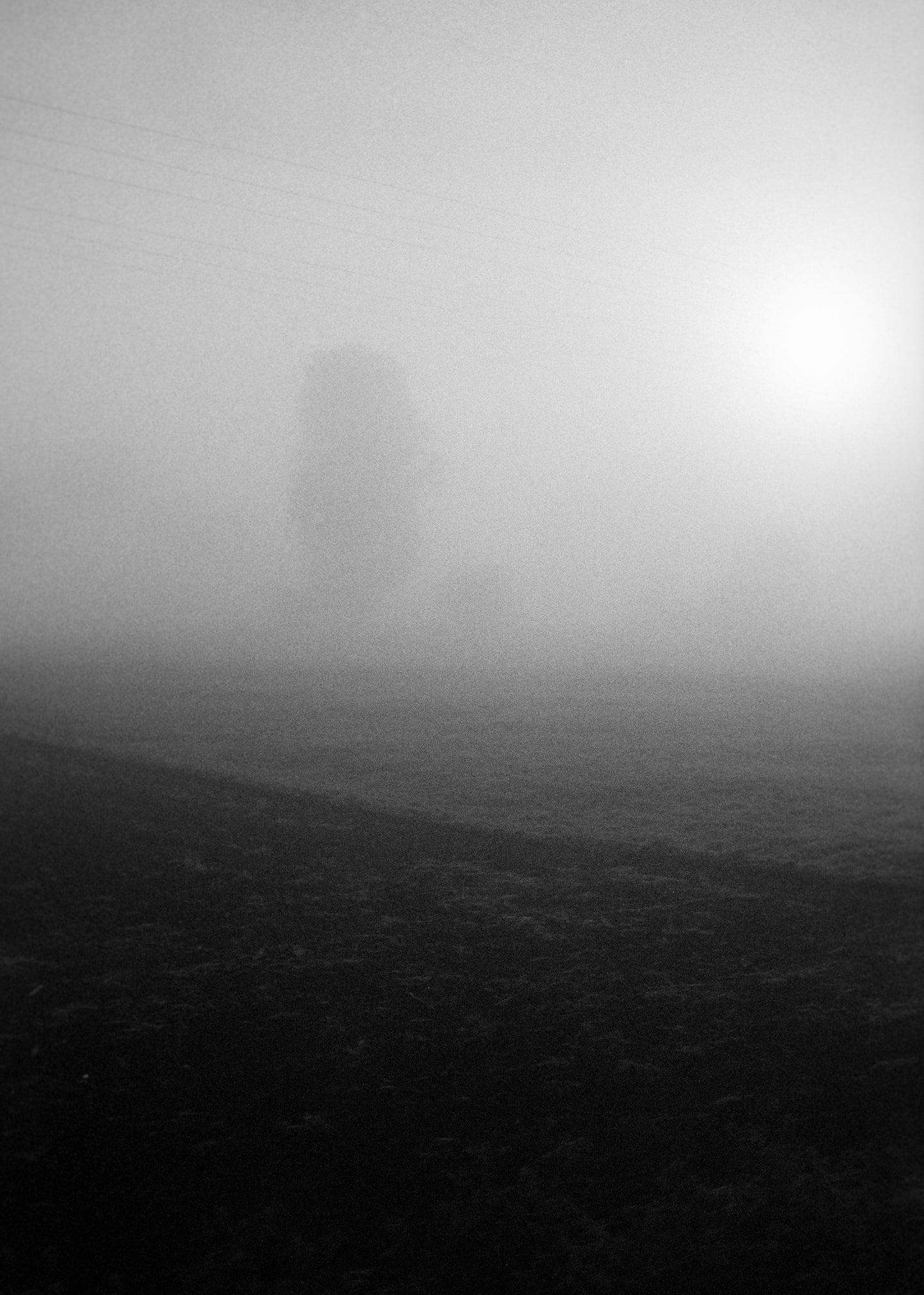 Wandbild "Etwas im Nebel"