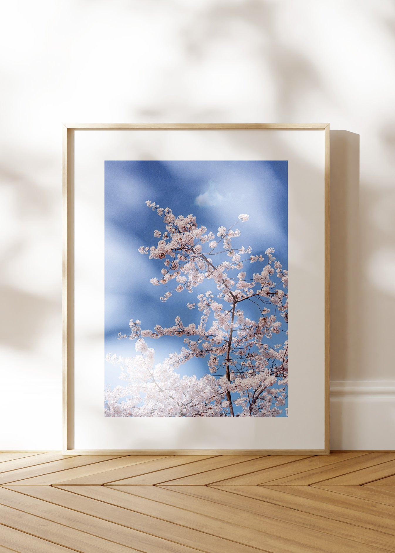 Art Print "Blossom"