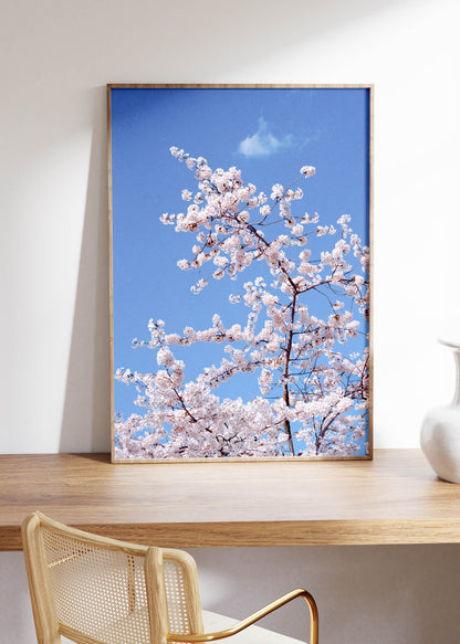 Wandbild "Blüte"