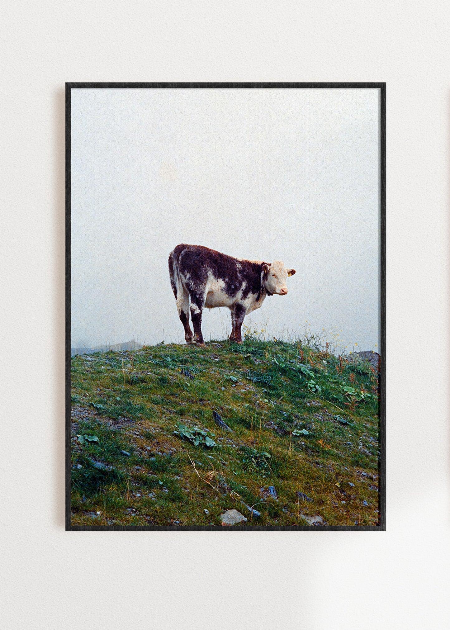 Art Print "Cow in the fog"