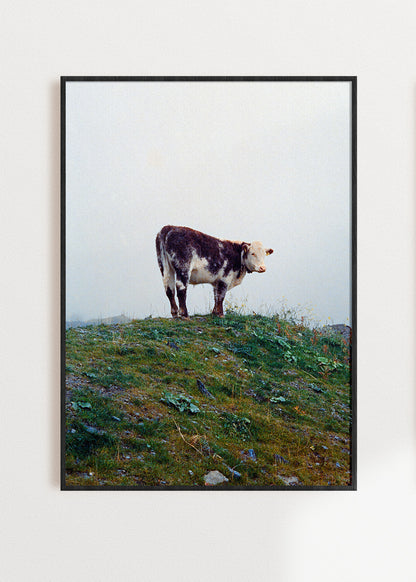 Wandbild "Kuh im Nebel"