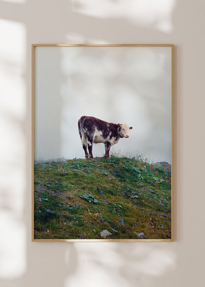Art Print "Cow in the fog"