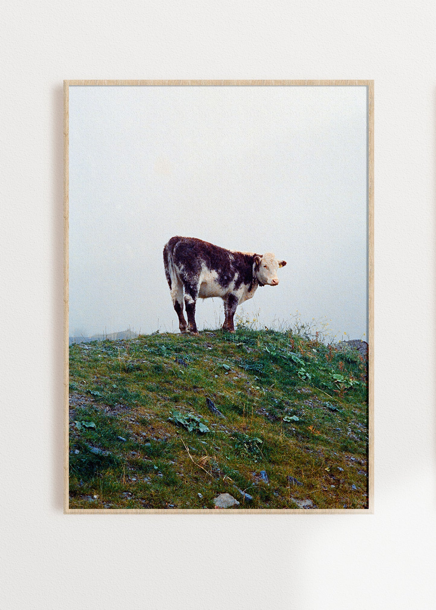 Art Print "Cow in the fog"