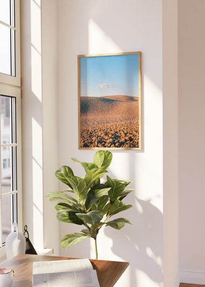 Wandbild "Crete Senesi"