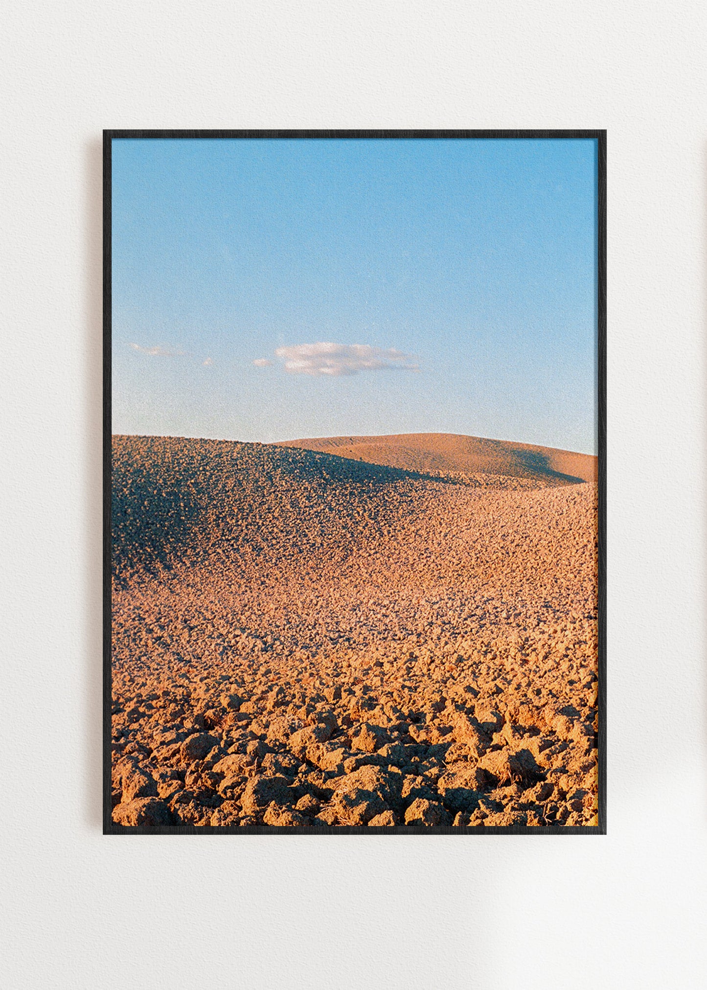 Art Print "Crete Senesi"