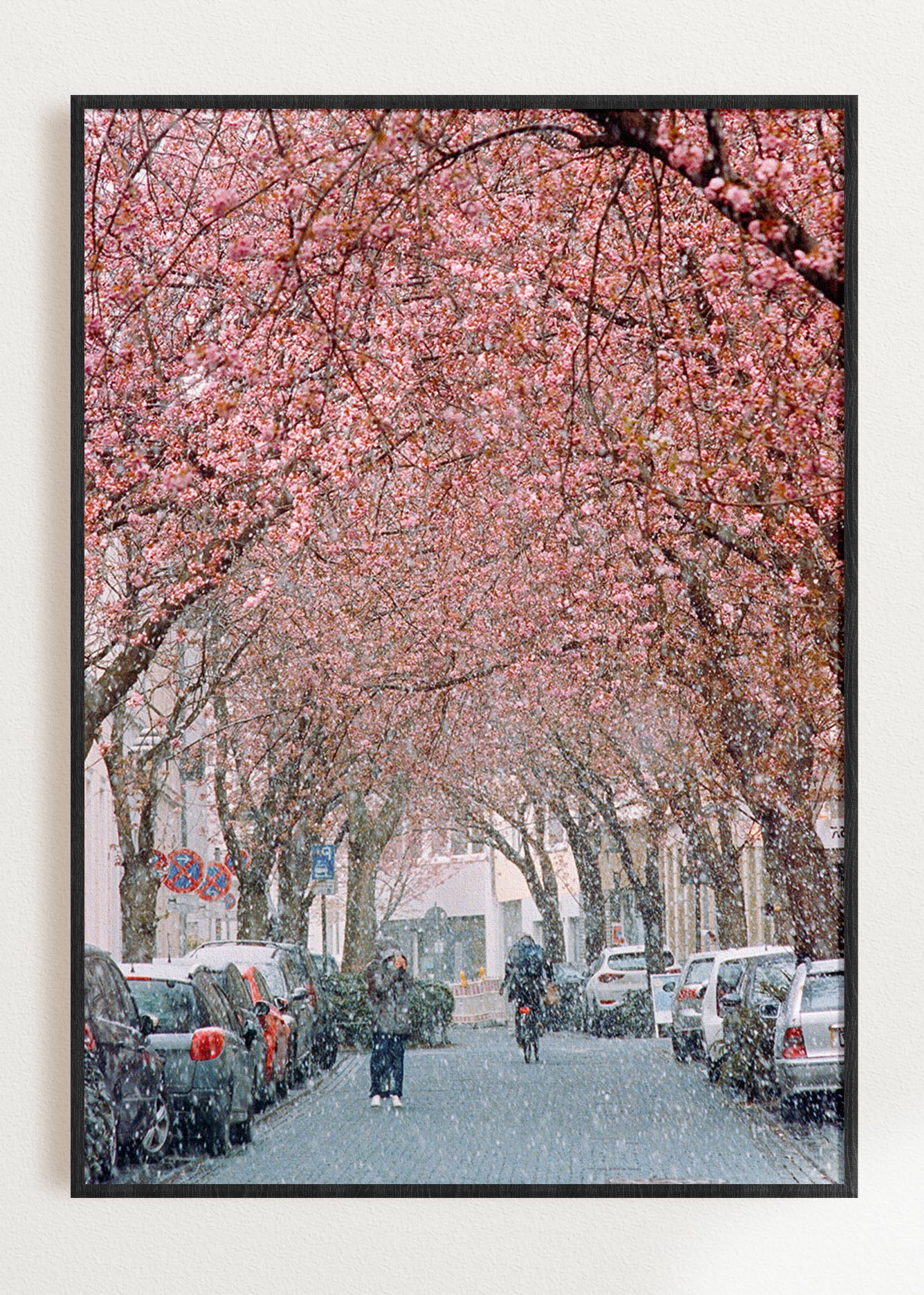 Wandbild "Kirschblüte im Schnee 1"