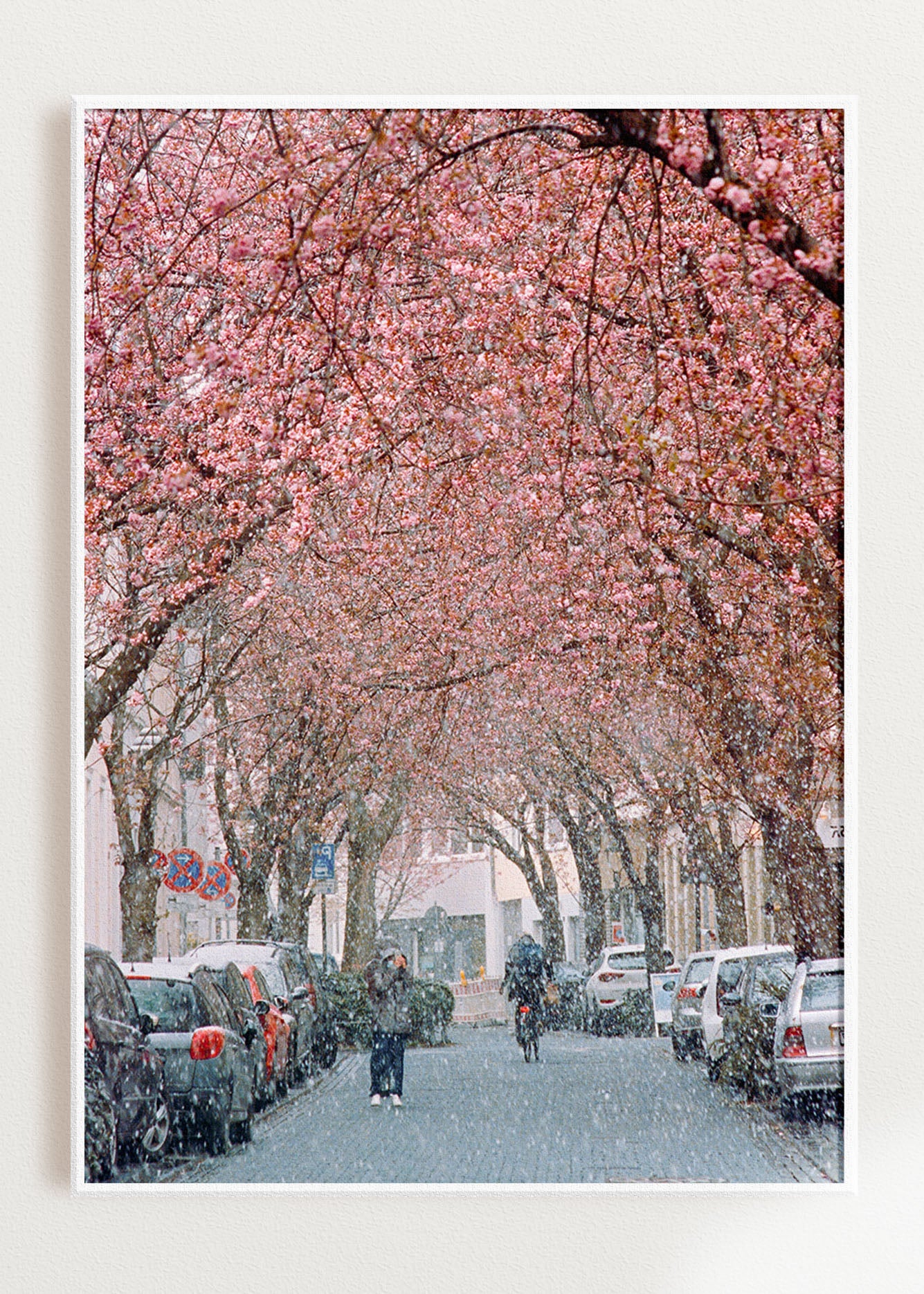 Art Print "Sakura Snow 1"