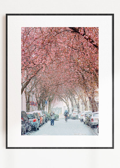 Art Print "Sakura Snow 1"