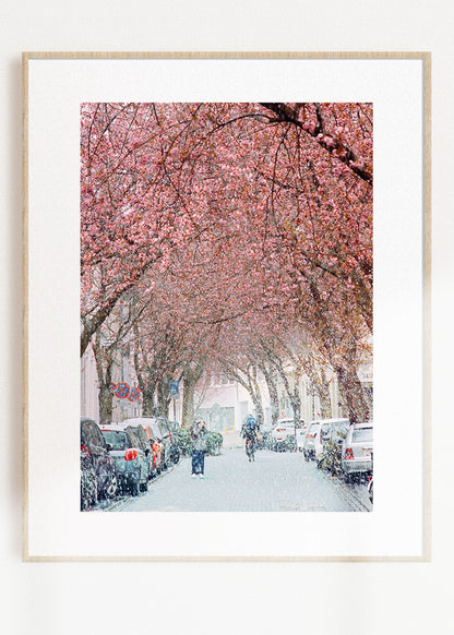 Art Print "Sakura Snow 1"