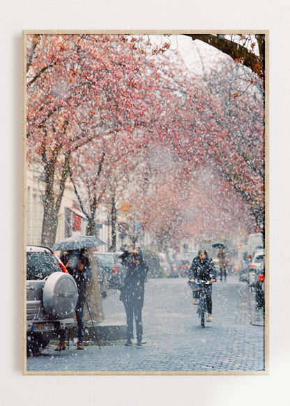 Art Print "Sakura Snow 2"