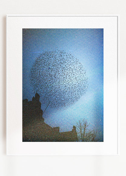 Wandbild "Murmuration"