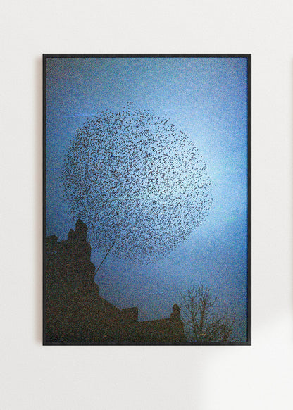 Wandbild "Murmuration"