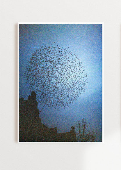 Art Print "Murmuration"