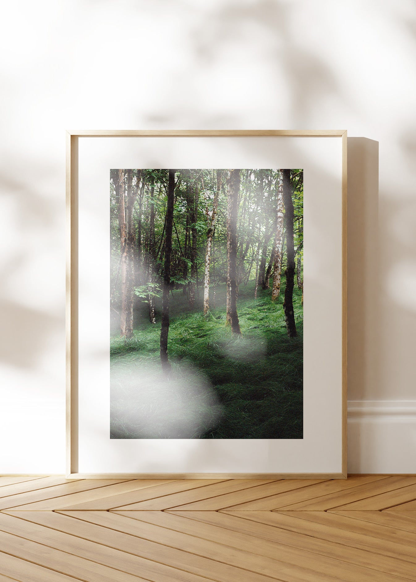 Wandbild "Verwunschener Wald"