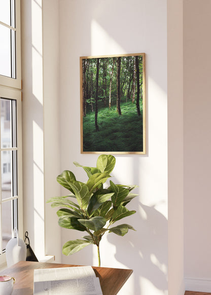 Wandbild "Verwunschener Wald"