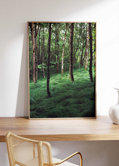 Wandbild "Verwunschener Wald"