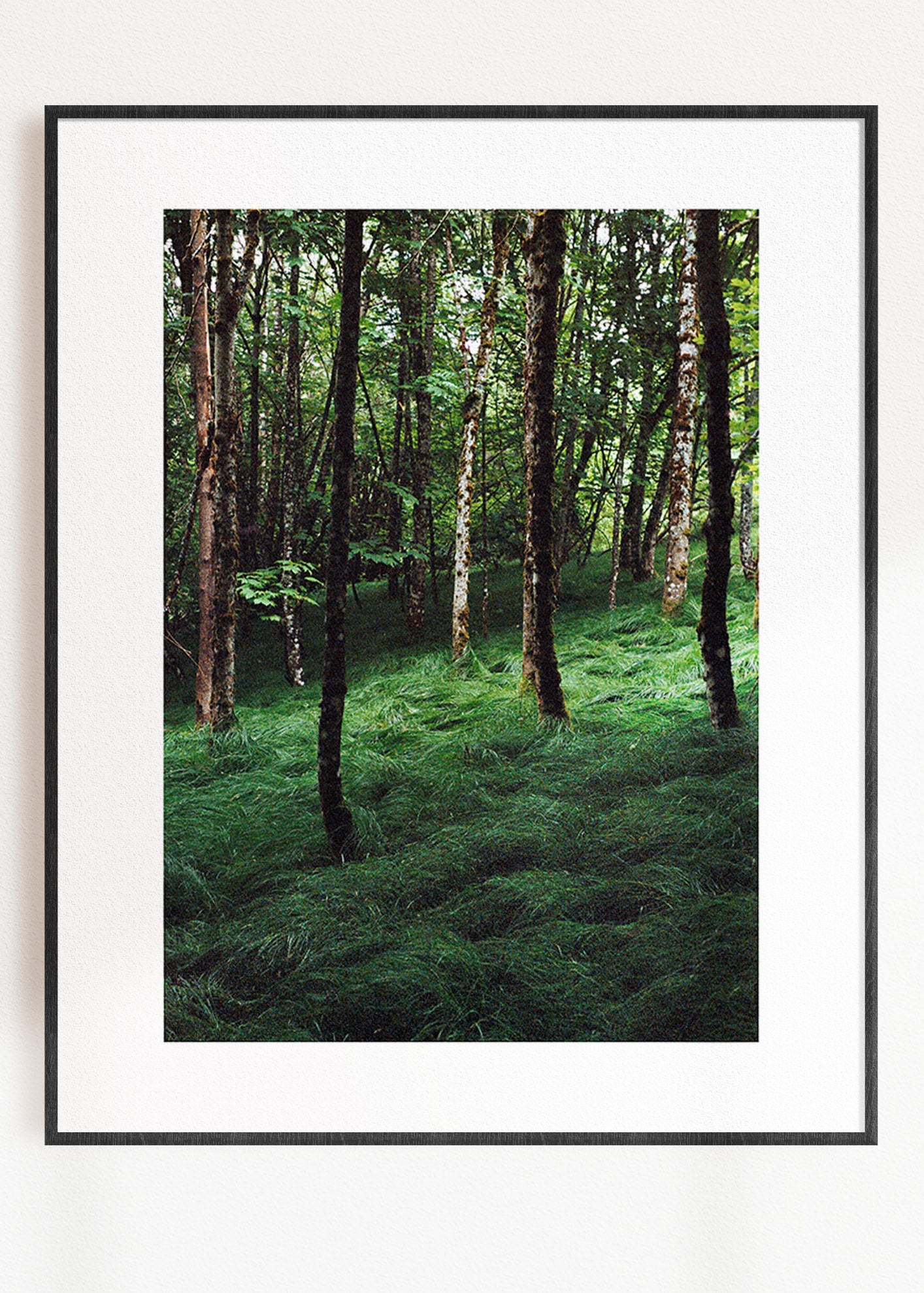 Wandbild "Verwunschener Wald"