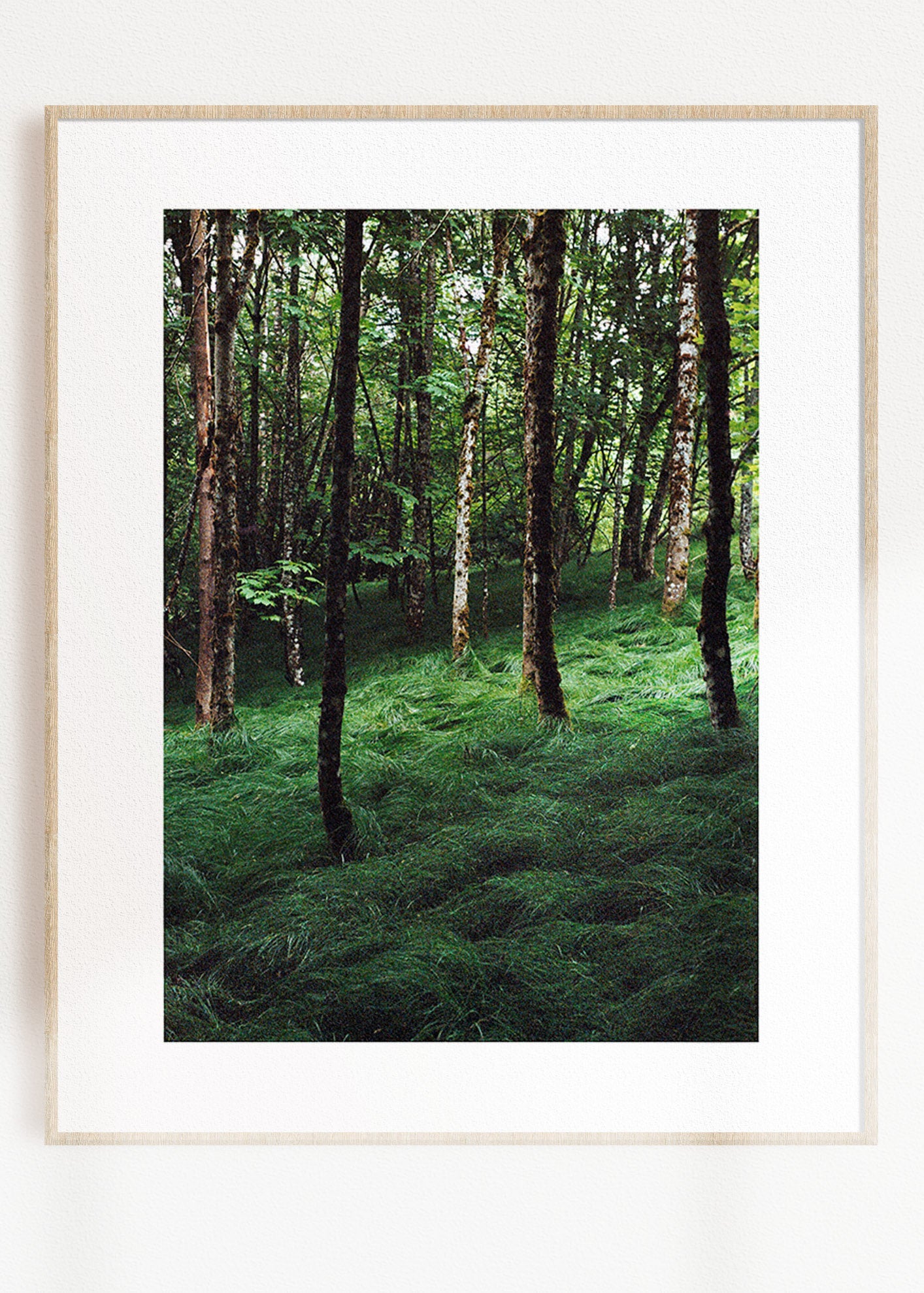 Wandbild "Verwunschener Wald"