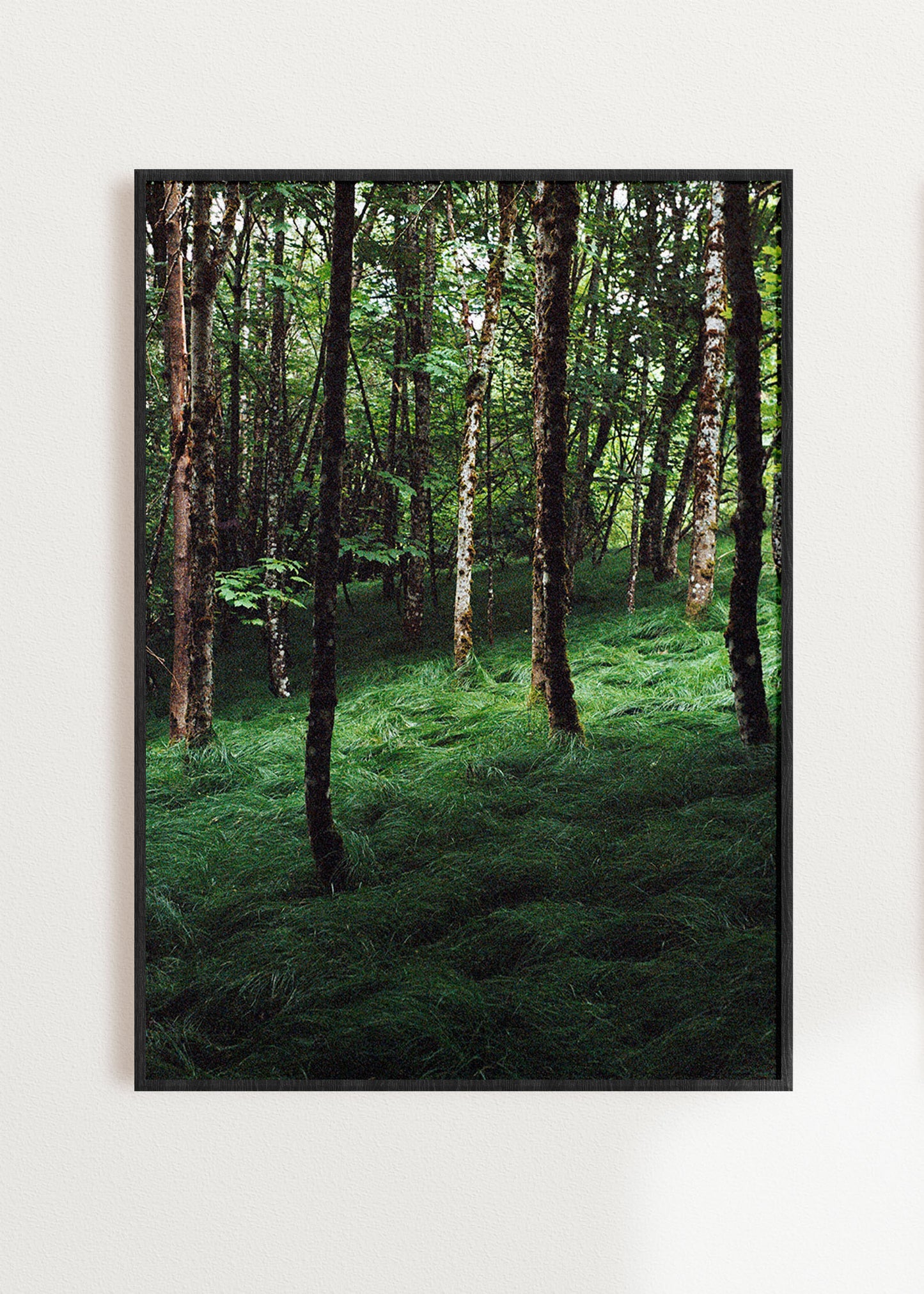 Wandbild "Verwunschener Wald"