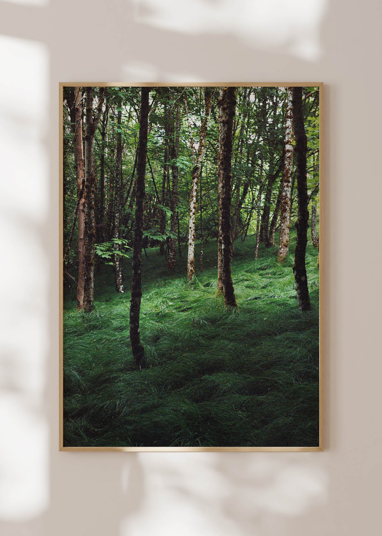 Art Print "Enchanted Grove 1"