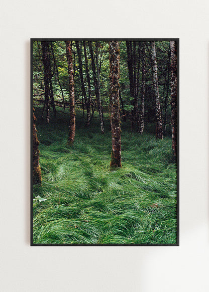 Art Print "Enchanted Grove 2"
