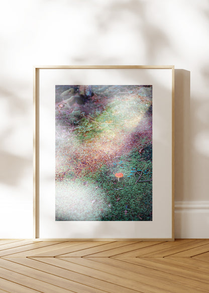 Art Print "Mushroom"