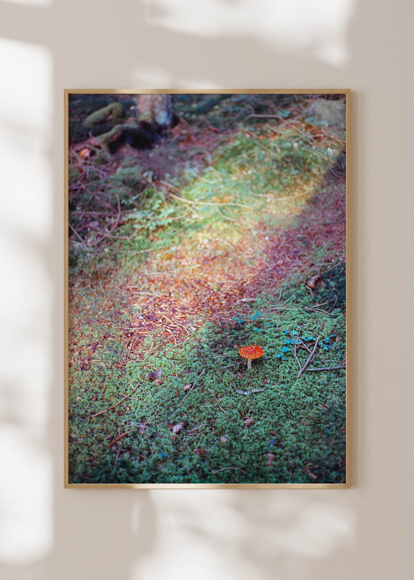 Art Print "Mushroom"